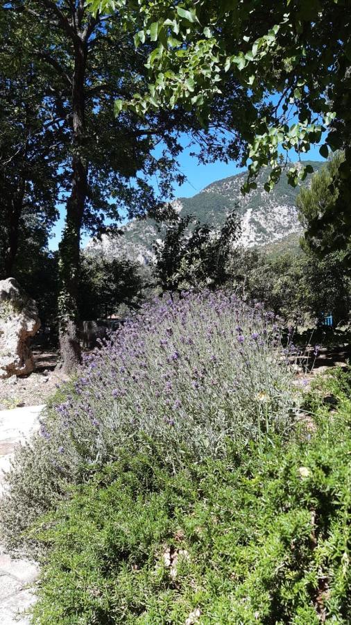 Azienda Agrituristica La Torretta Tocco da Casauria Buitenkant foto